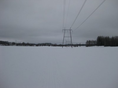 peltomaisema