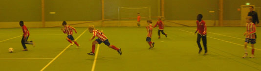 pelia