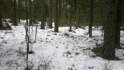taivassalo